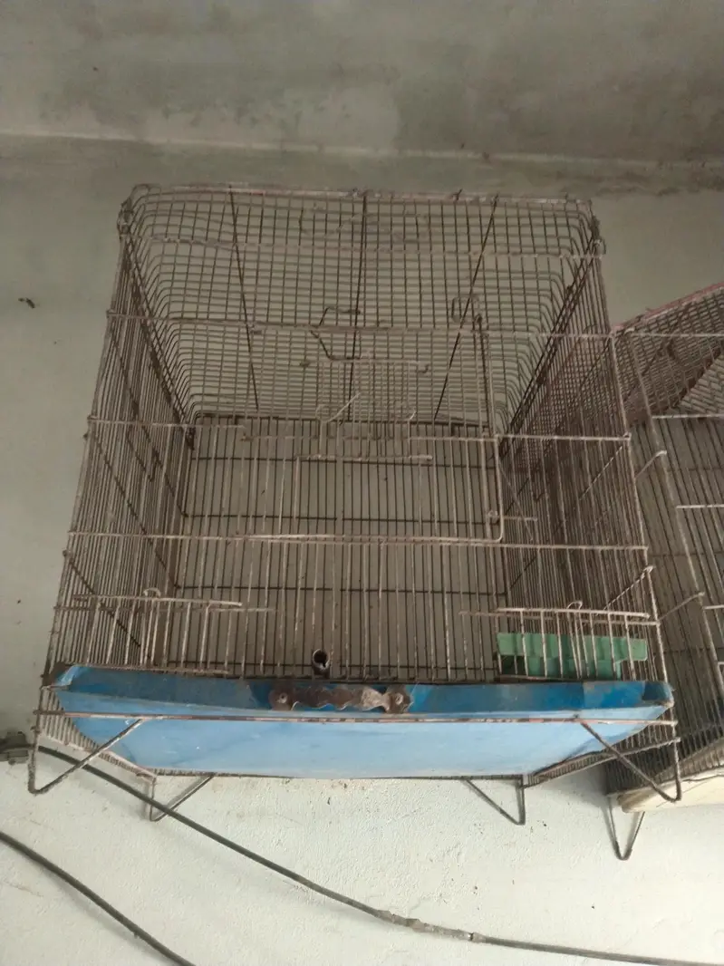parrot Cage — photo 3