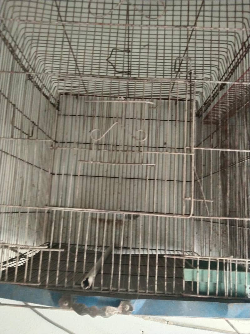parrot Cage 3