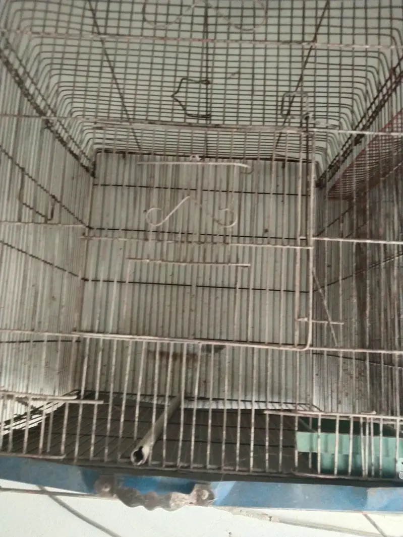 parrot Cage — photo 4