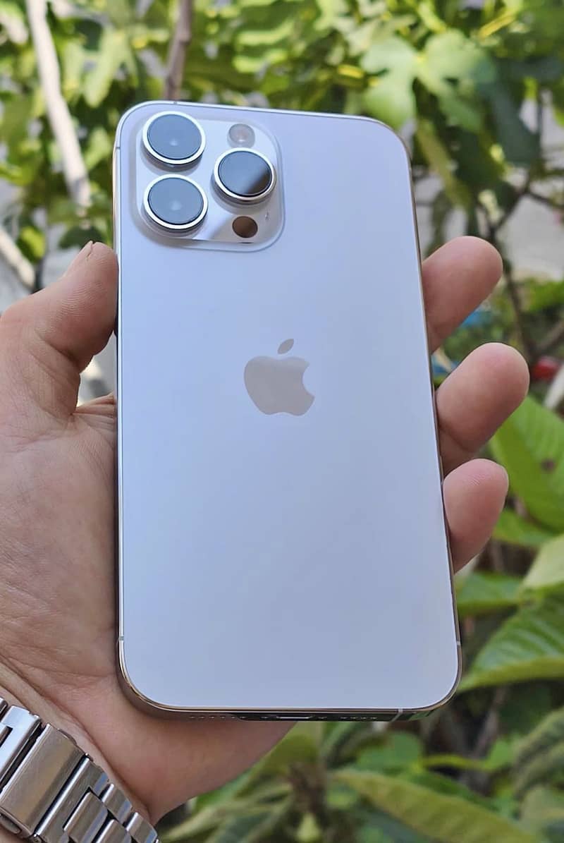 iPhone 14 Pro Max bypass 0