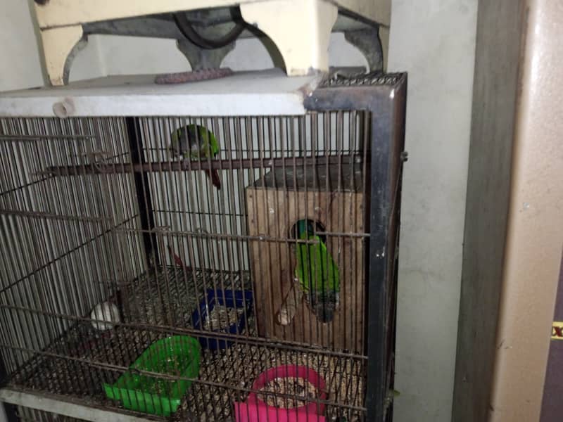 Green 0