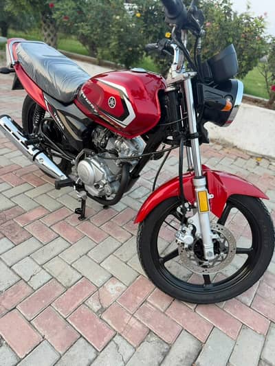 YBZ 125 DX 2025 model 4000 only driven All punjab numbar first hand