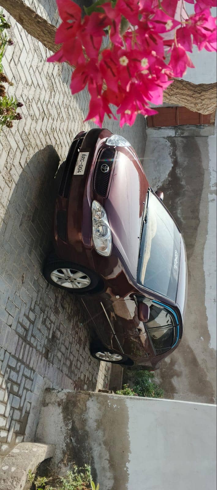 Acc Saloon 2005 6