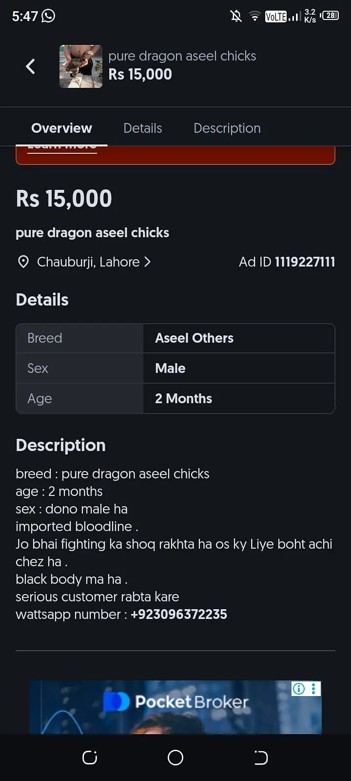 gamer thai dragon pathay only olx messege — photo 5
