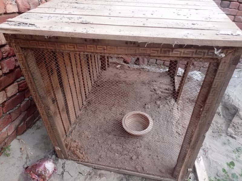 birdcage 1