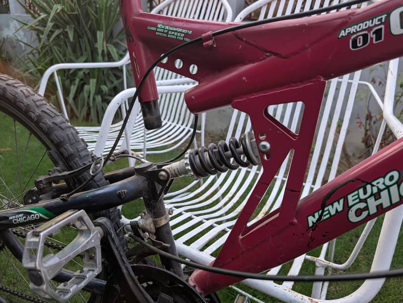 Bycycle FULL SIZE 3