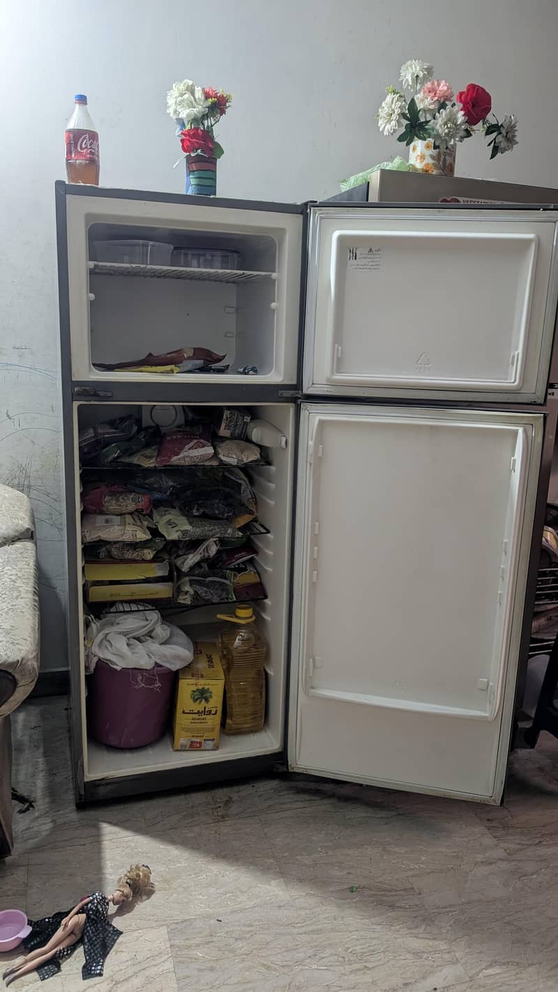 Electrolux Fridge 1