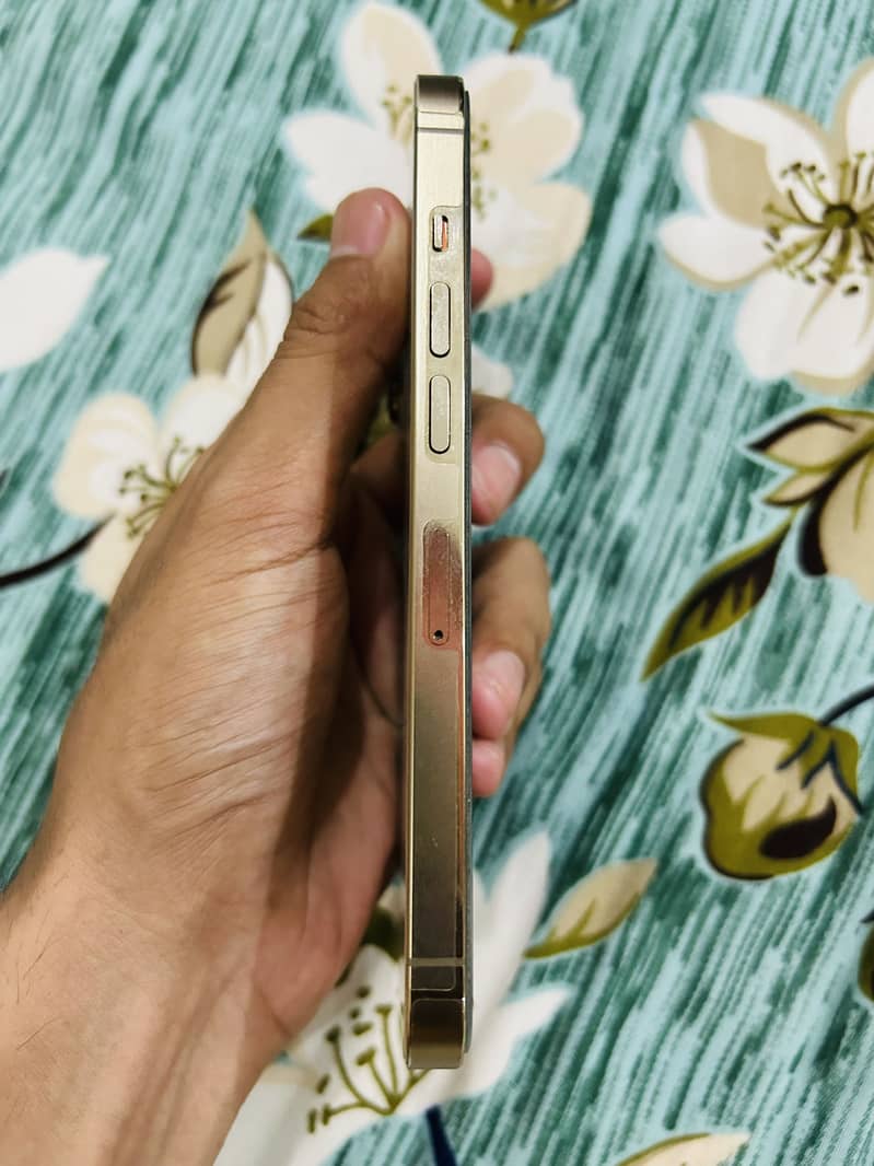 Apple iPhone 13 Pro 1