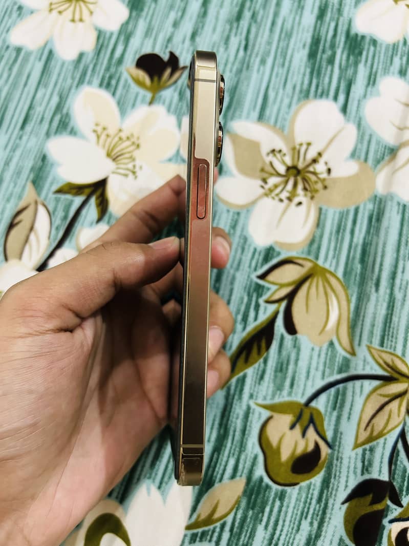 Apple iPhone 13 Pro 2