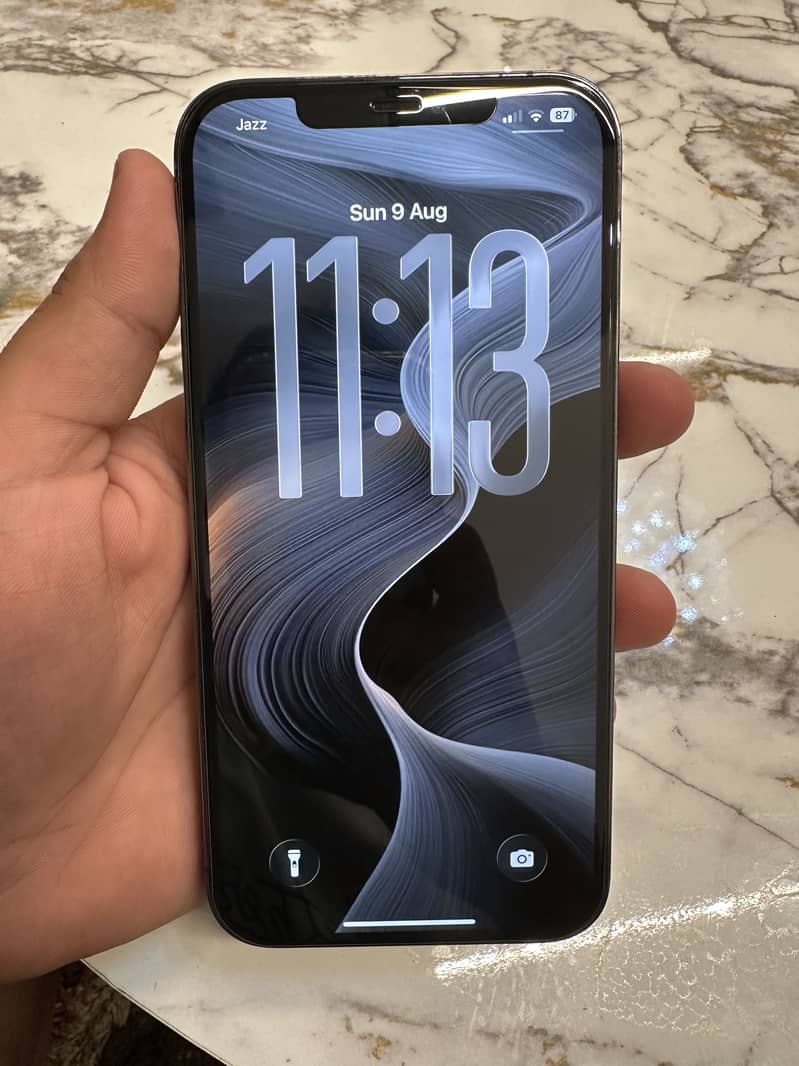iPhone 12 Pro Max PTA 1