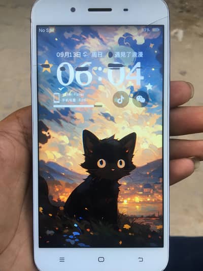 Vivo Y66