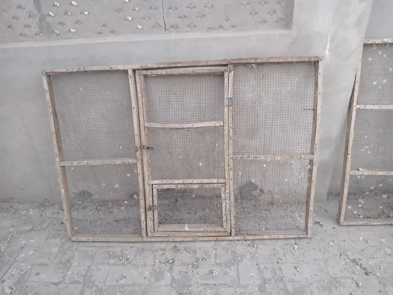 All setup for sale Exchange possible with birds or hens — photo 4