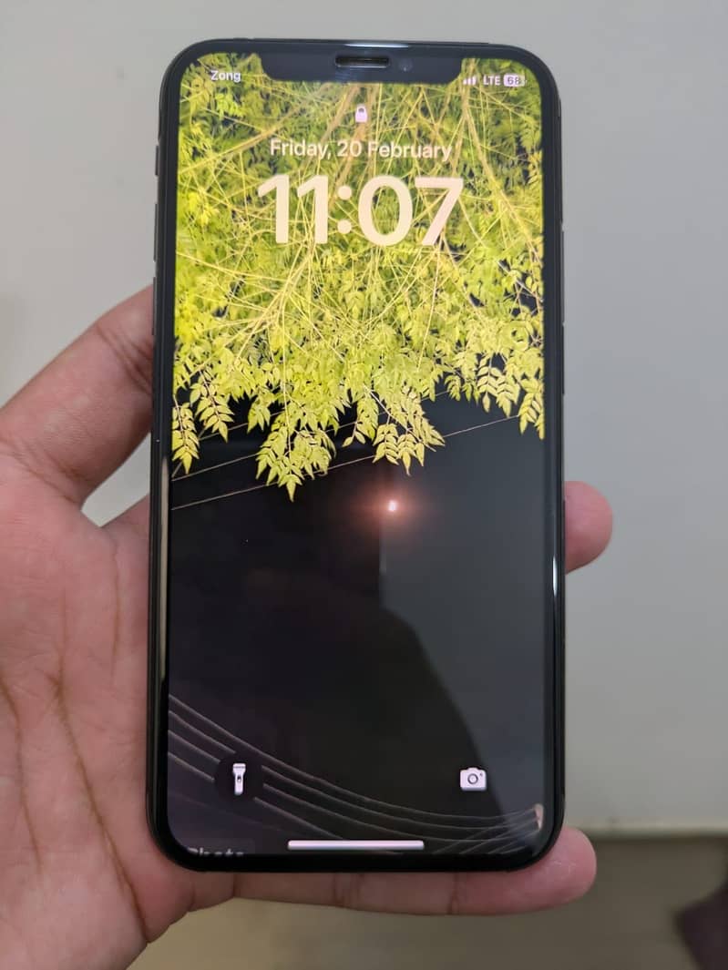 Apple iPhone XS 1
