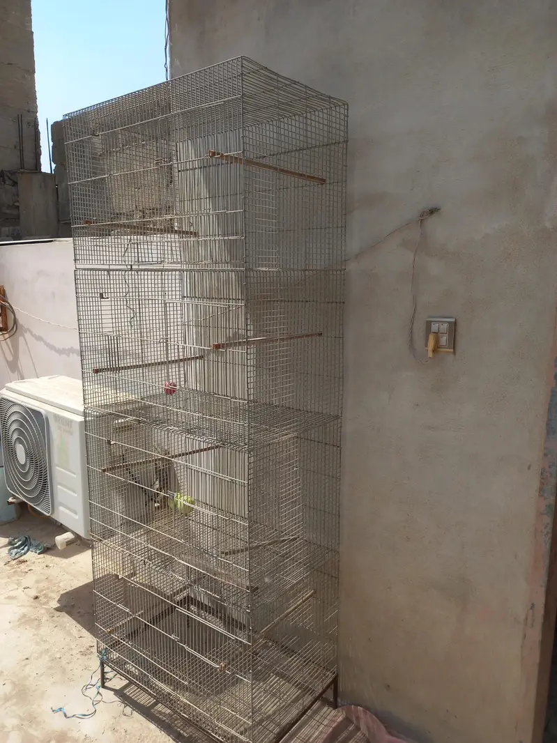 birds cage available — photo 2