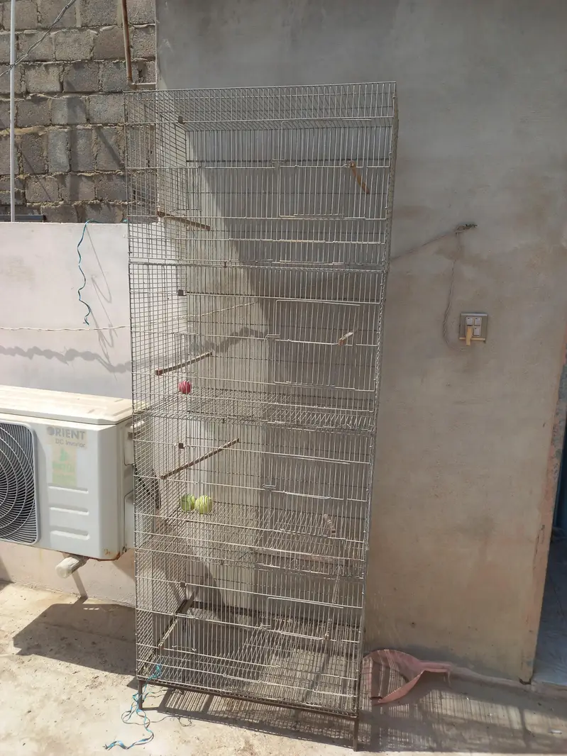 birds cage available — photo 3