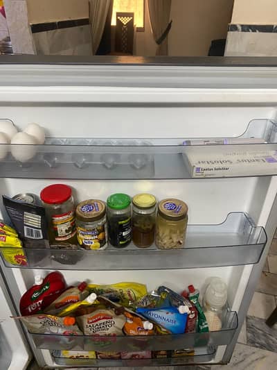 Double Door, Frost-free Refrigerator with Freezer
