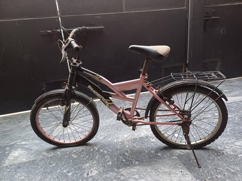 bicycle 2