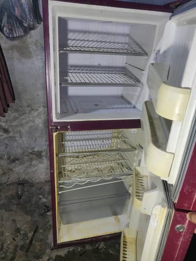 orient new fridge hai