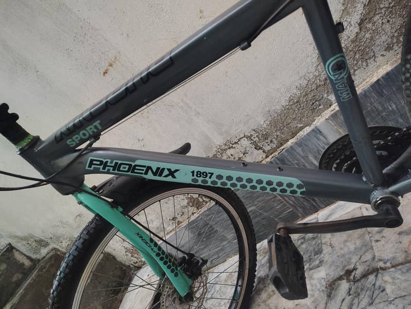 PHOENIX BICYCLE 2