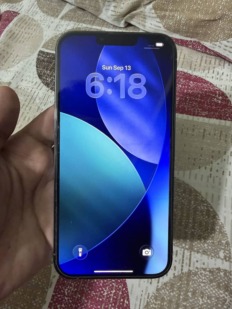 Apple iPhone 13 Pro Max 1