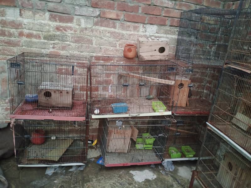 Birds Cage 1
