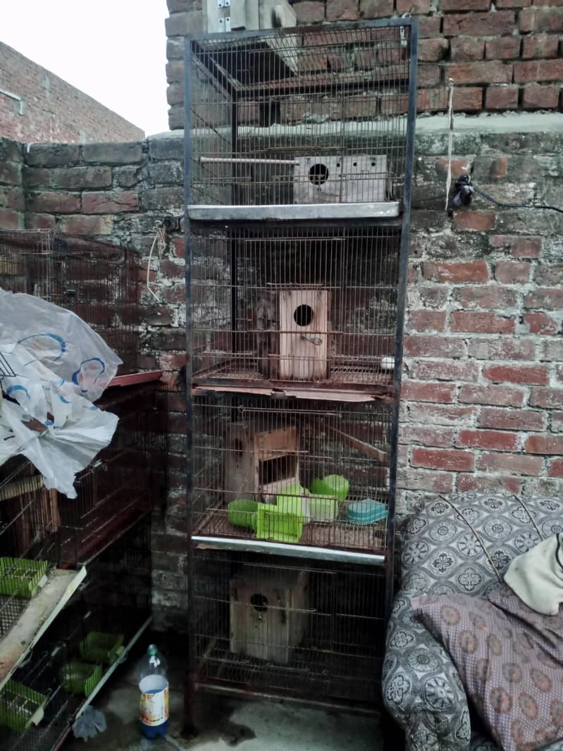 Birds Cage 4