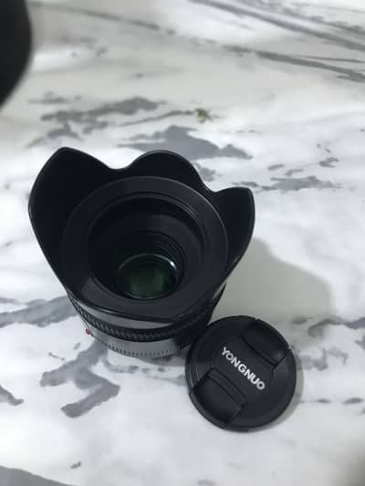 Yongnuo 50mm F1.8 used on canon 2 months