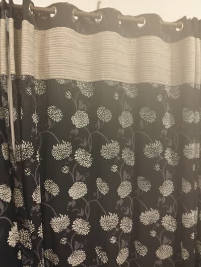 new curtain