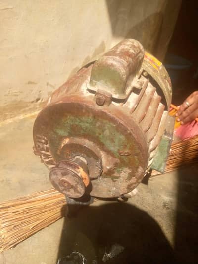 Dunky pump  motor