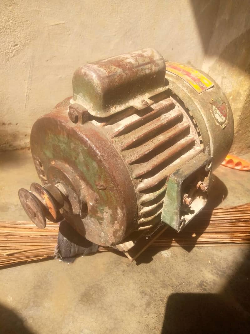 Dunky pump  motor 1