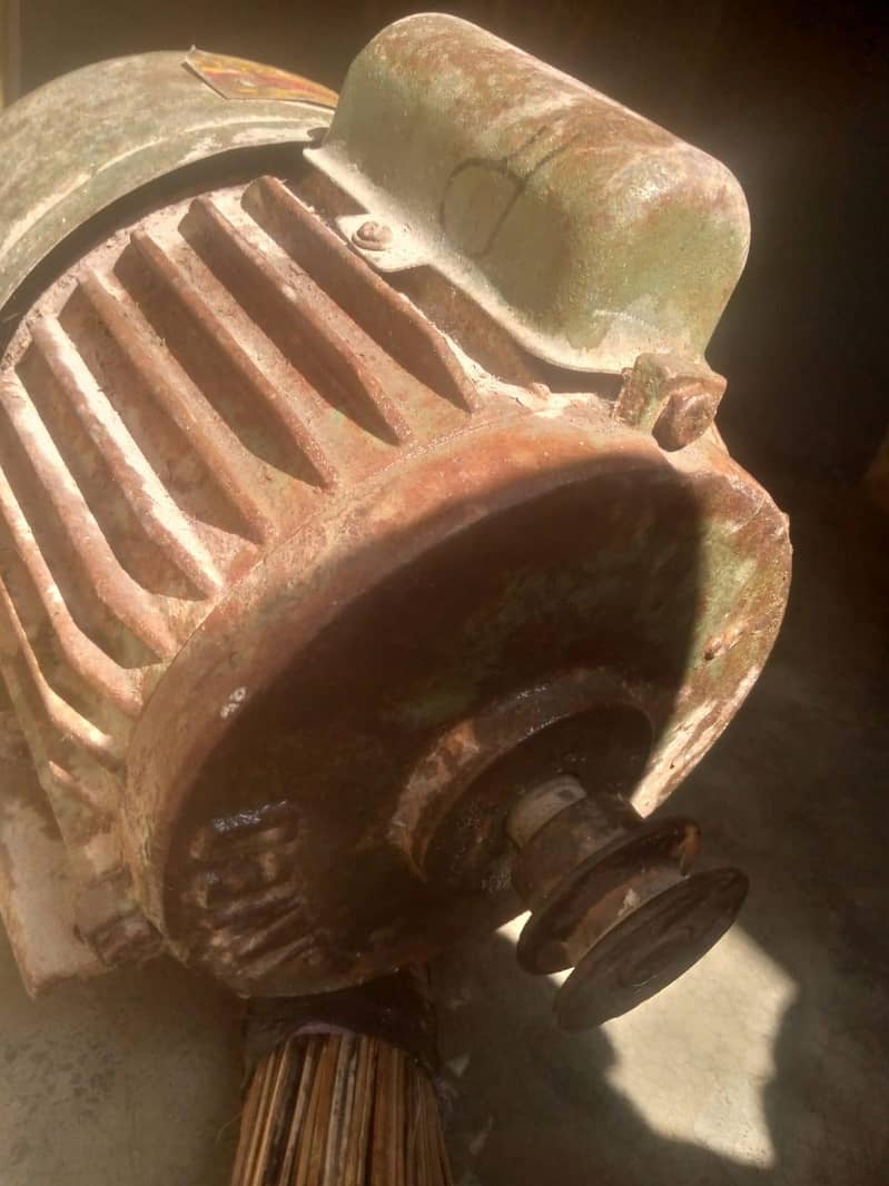 Dunky pump  motor 2