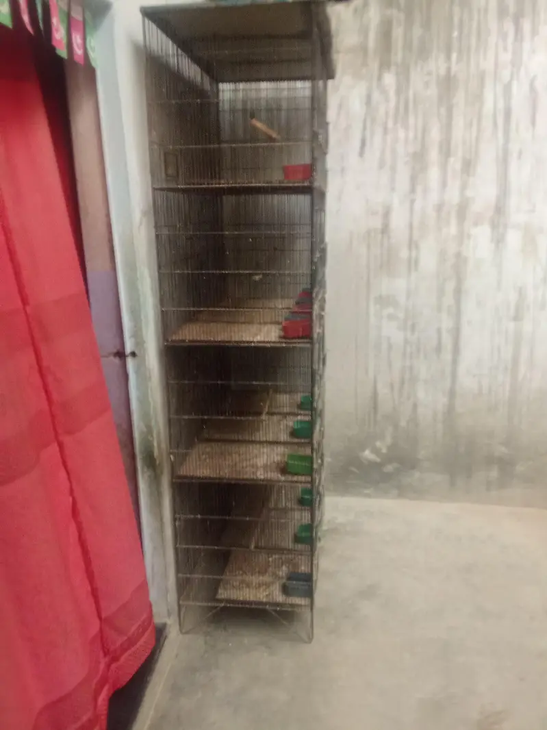 used 12 Compartment Bird Cage - Strong Metal Cage for Sale. — photo 2