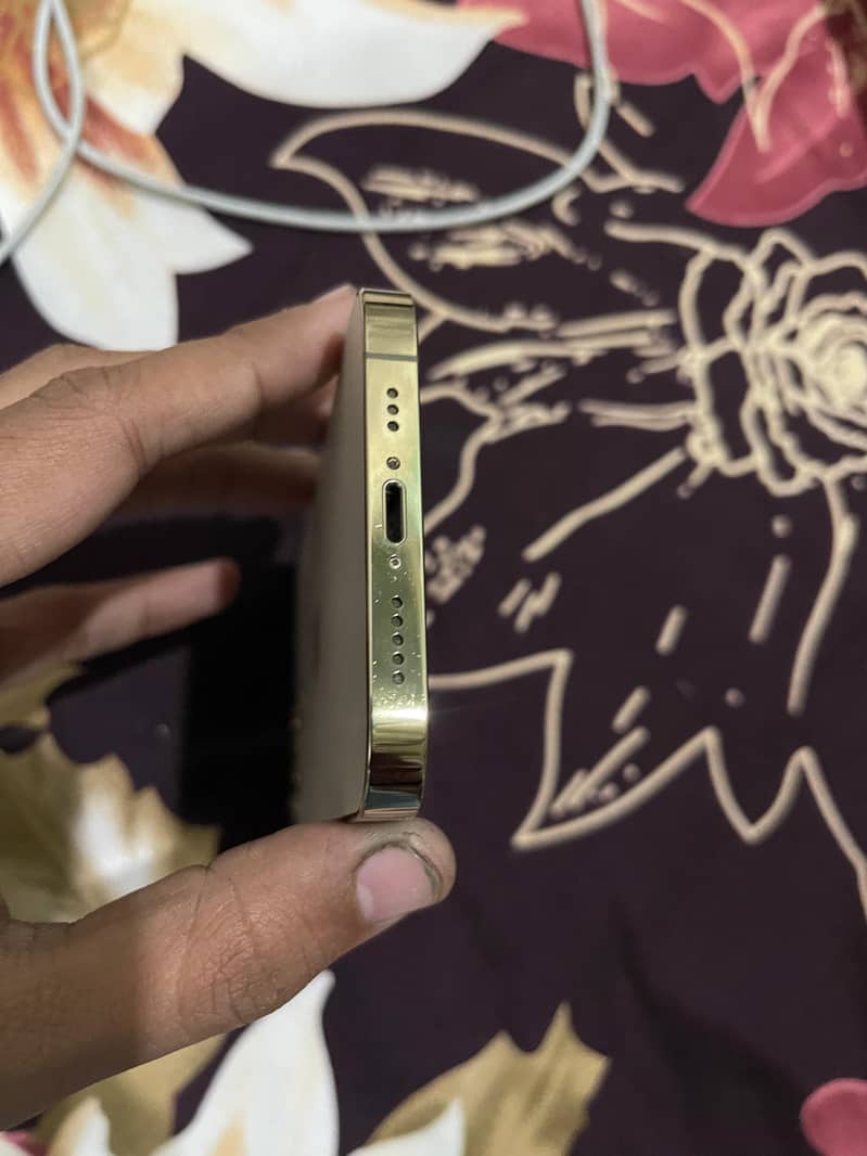 Apple iPhone 12 Pro 1