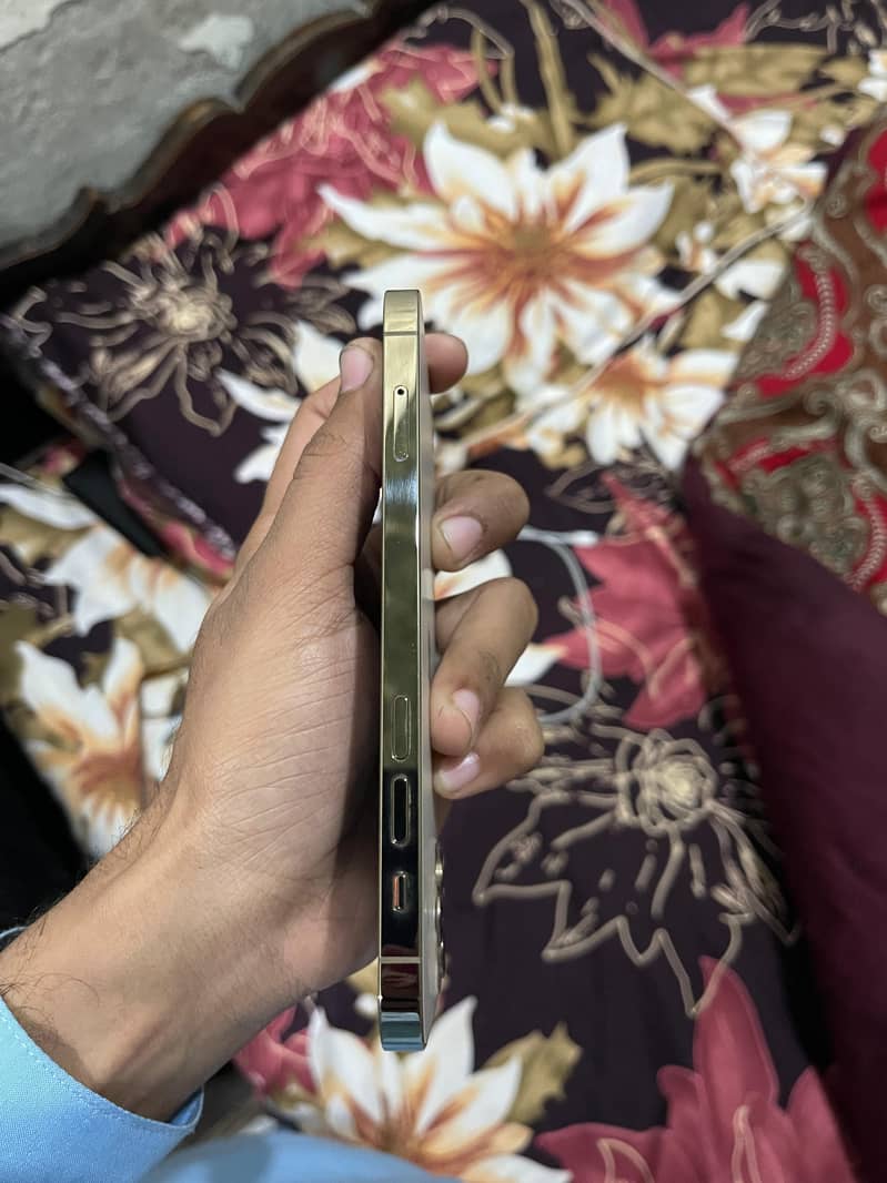 Apple iPhone 12 Pro 3