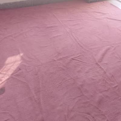 Carpet for sale