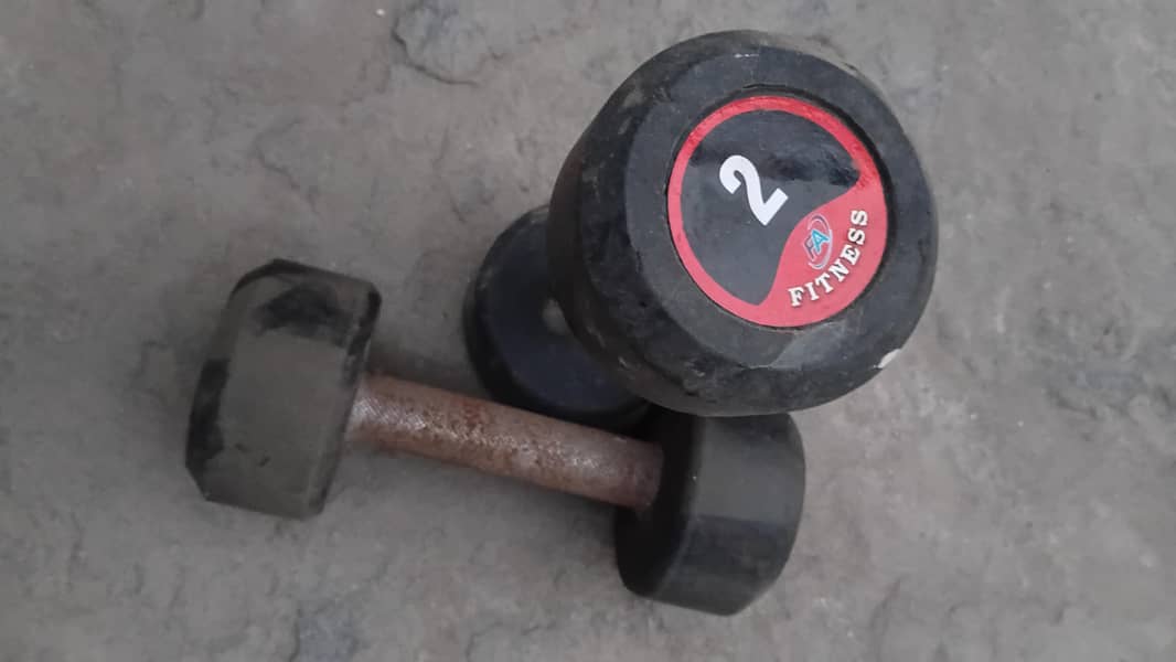 2kg dumbbell 2