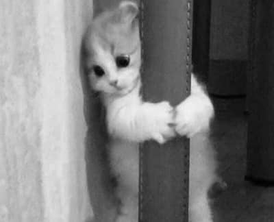 gate keeper security guard office boy