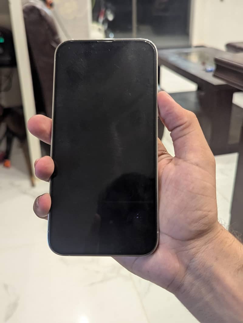 Apple iPhone 13 Pro Max 1