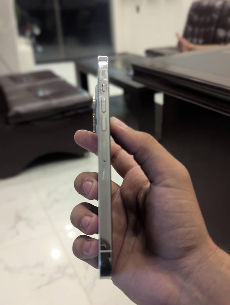Apple iPhone 13 Pro Max 2