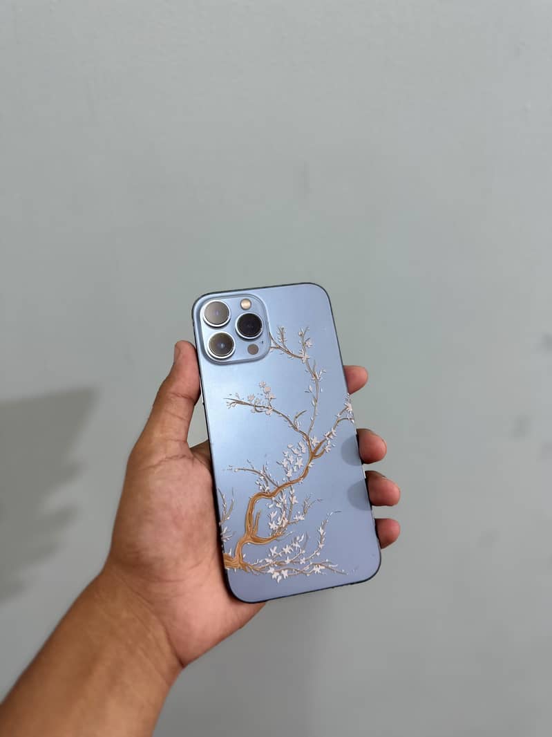 IPhone 13 pro max 0