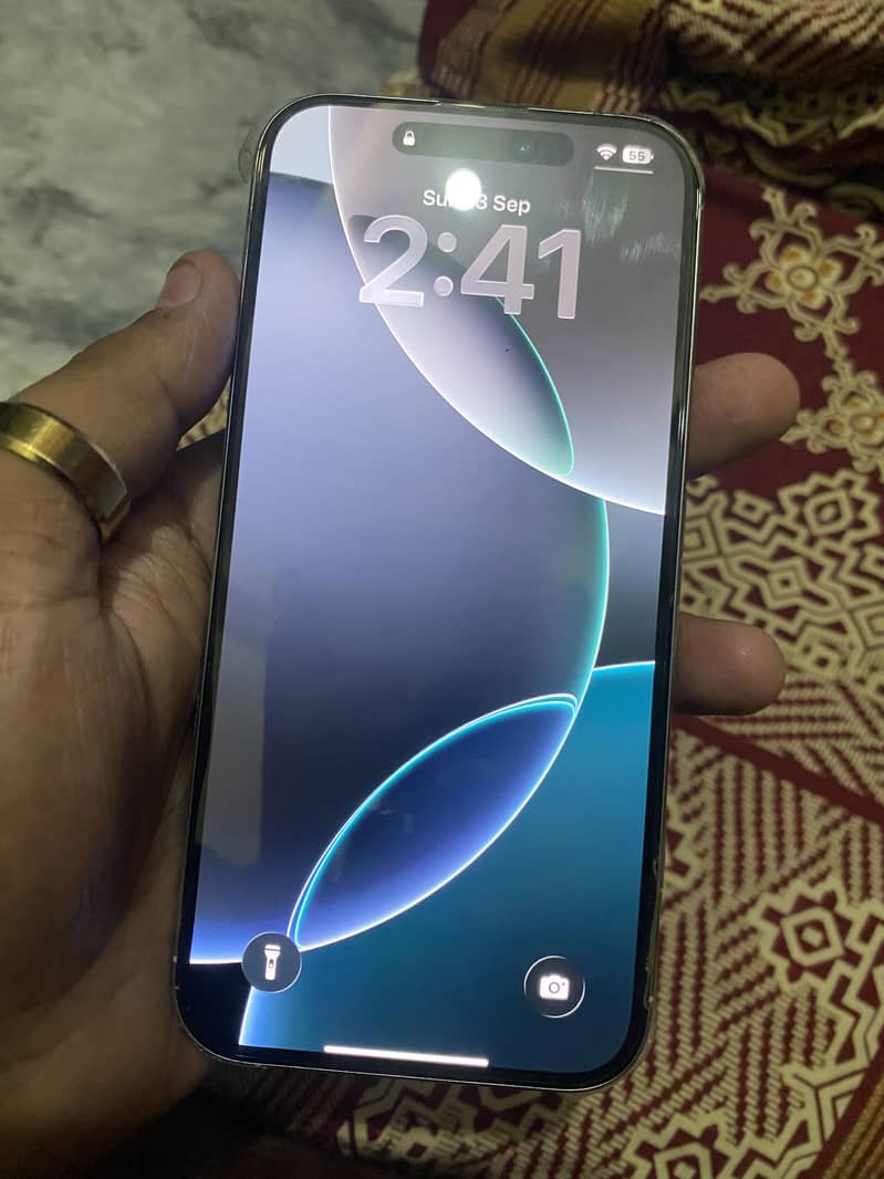 Apple iPhone 16 Pro Max 1