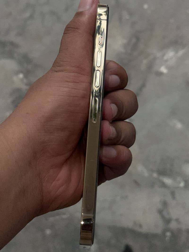 Apple iPhone 13 Pro Max 0