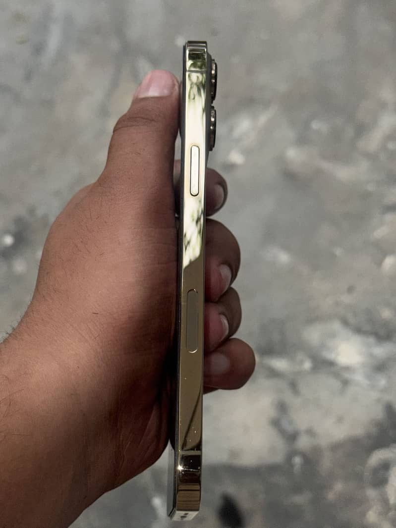 Apple iPhone 13 Pro Max 1