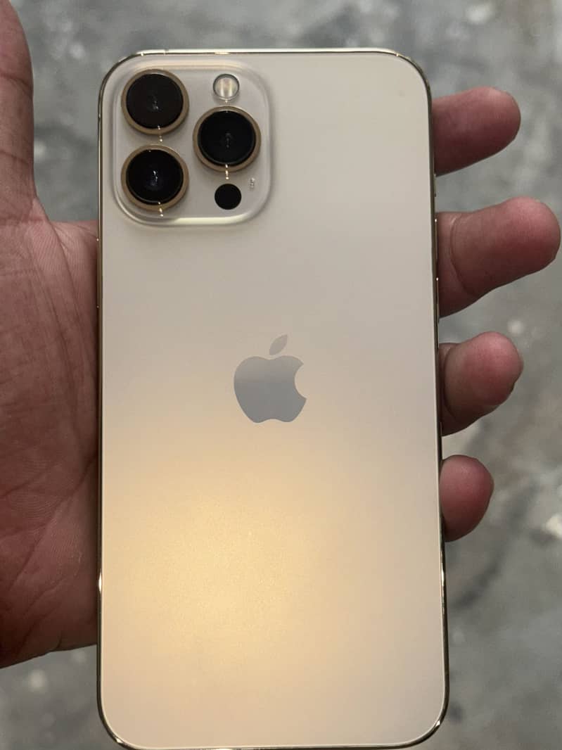 Apple iPhone 13 Pro Max 2