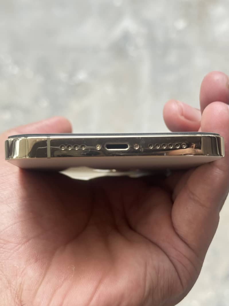 Apple iPhone 13 Pro Max 3