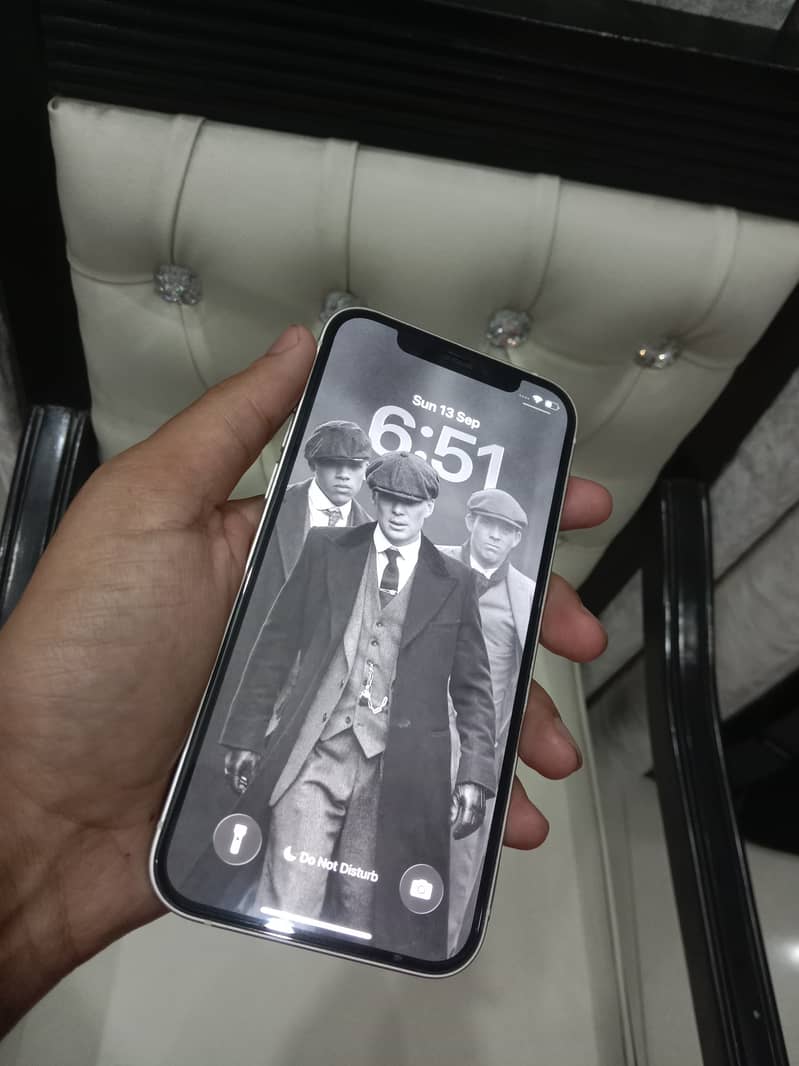 Apple iPhone 12 0