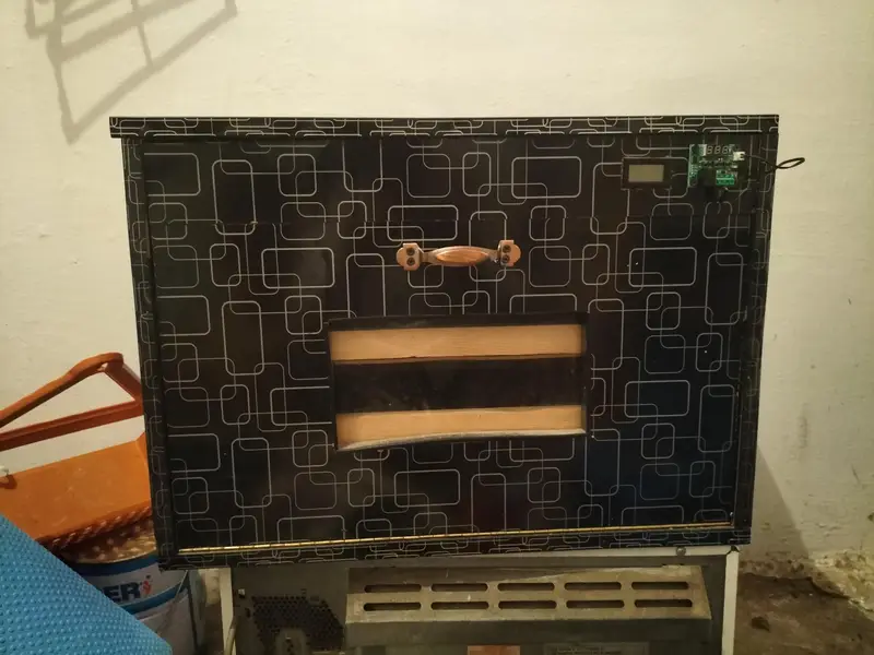 Incubator — photo 3