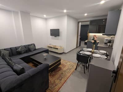 one bed apartment furnished eifle tower view