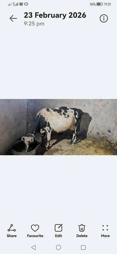 20 din howay hai Rod diya hai 4kg milk