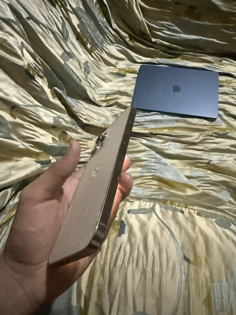 Apple iPhone 12 Pro Max 2